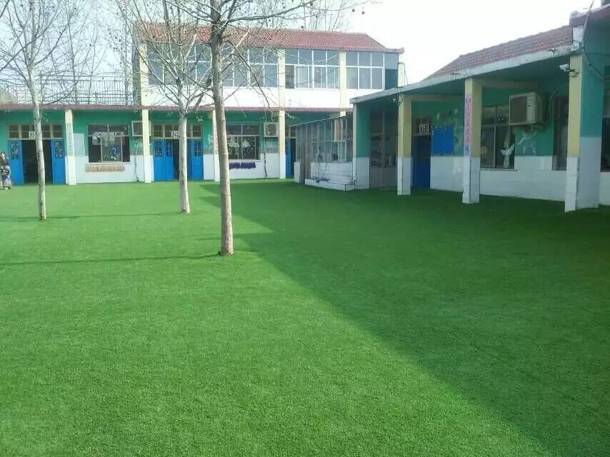 人造草坪紗線的種類2CM高加密加厚全綠草