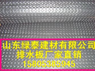 佛山地下室/屋頂綠化疏水板*排水板