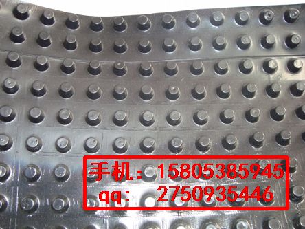 汕頭車庫排水板%惠州綠化用-植草格