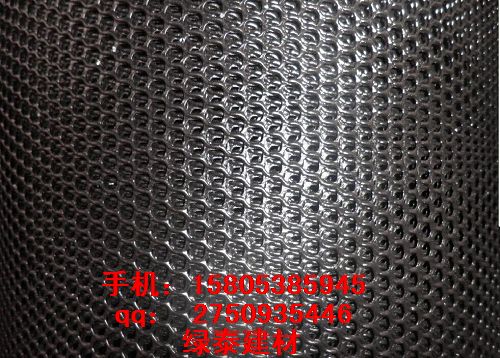山西省丨朔州HDPE土工排水網丨阻燃網