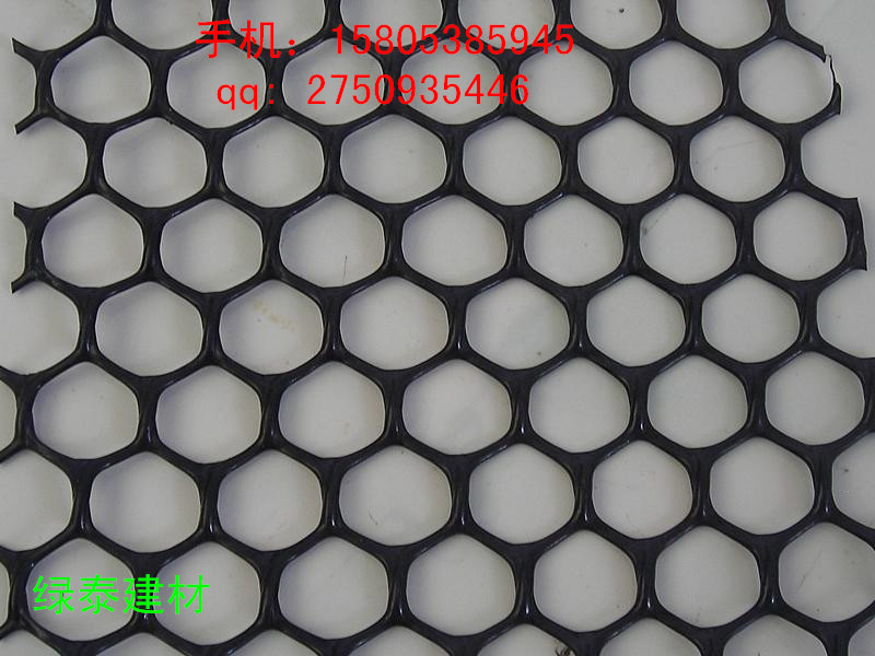 保定排水網格&高強土工網*批發
