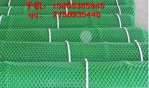 衡水塑料平網_塑料過濾網_路基網@現貨