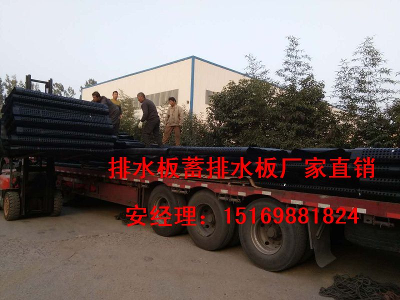  幅寬2米3米|鄂爾多斯1公分車庫頂板排水板15169881