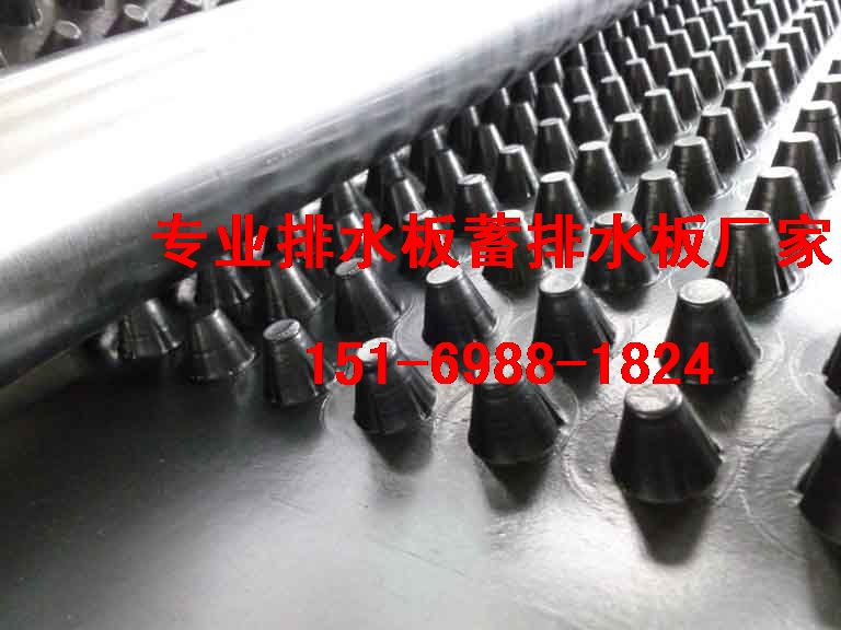 屋頂綠化H20蓄排水板淄博車庫綠化排水板