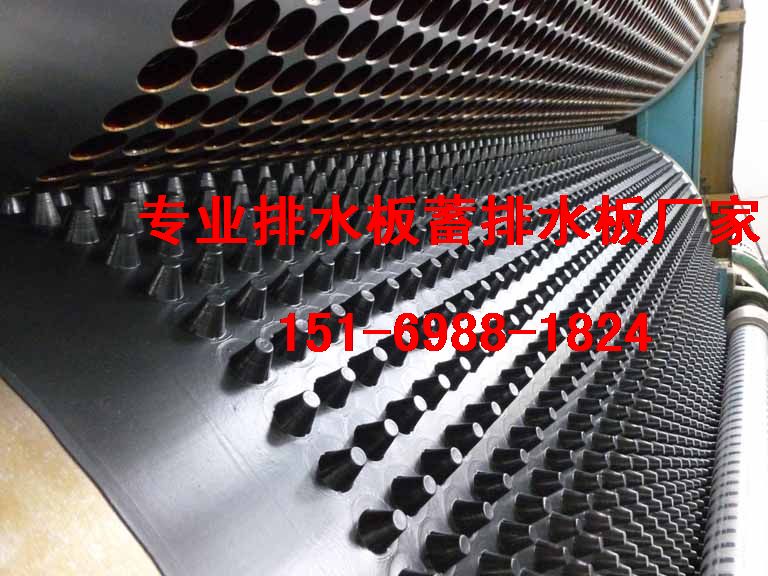高強度2公分蓄排水板%防城港車庫排水板15169881824