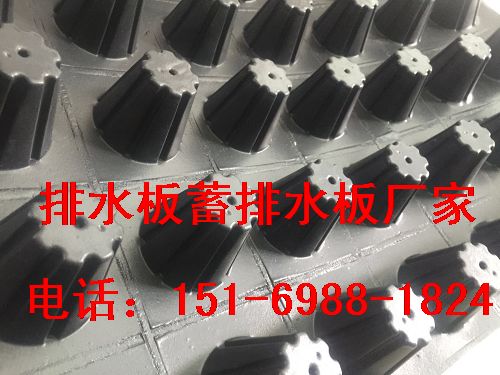 2公分上海車庫頂板排水板施工|重慶車庫排水板價格