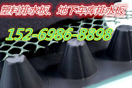 唐山2公分排水板-3公分塑料排水板