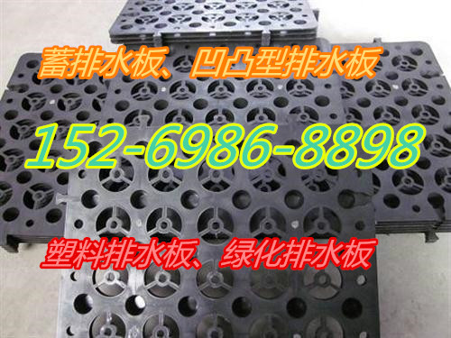 辛集4公分凹凸型排水板廠家