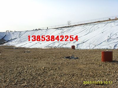 屋頂綠化隔根層§邯鄲防根刺隔根板￥魚塘防