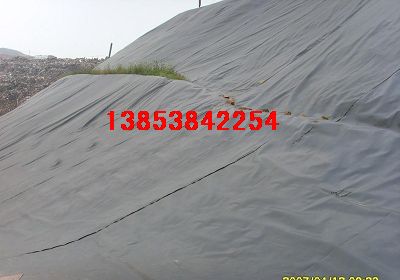 信陽抗老化】蓮藕防滲膜）鹽城汙水池防滲膜