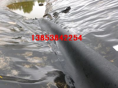 養魚塘防水布）武漢黃鱔養殖膜】信陽蓮藕池