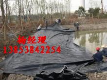 石家莊景觀湖防滲膜￥沼氣池防滲膜】廠家直