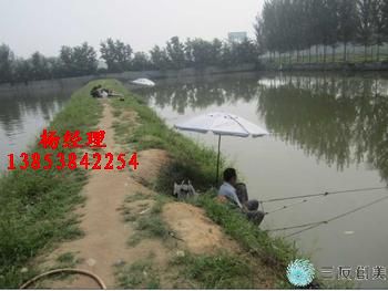 湖北黃鱔養殖防滲膜+++商丘藕池防水布）