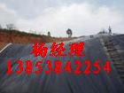 平頂山藕池防水布⊙價格】河道防滲膜）施工