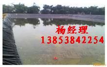 臨沂藕池防滲膜%魚塘防滲膜☆宜昌泥鰍養殖