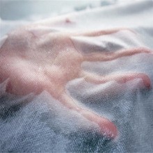 PP紡粘親水無紡布