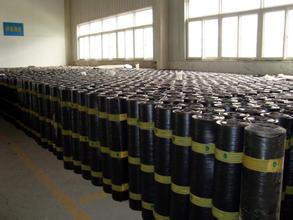 廠家直供CPS高分子自粘卷材