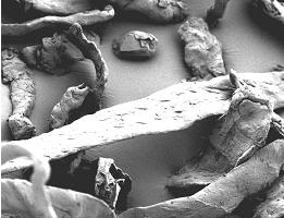 上海摩纖供應刹車片用纖維素纖維