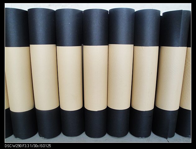 ASTM美國標準屋頂油氈2