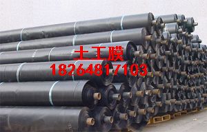 供應邢台土工膜環保土工膜HDPE防滲膜