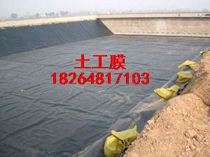 供應衡水土工膜環保土工膜HDPE防滲膜
