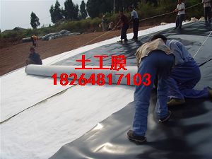 供應陽泉土工膜環保土工膜HDPE防滲膜