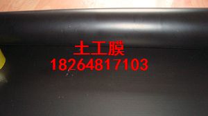 供應太原土工膜綠化土工膜HDPE防滲膜