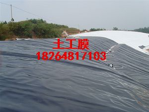 遼寧土工膜，遼寧防滲膜，遼寧HDPE土工