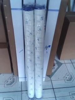 頗爾濾芯UE319AN40H