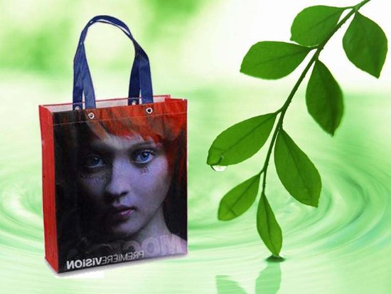 廣東韶關迪寧波無紡布袋環保袋手提袋廣告袋