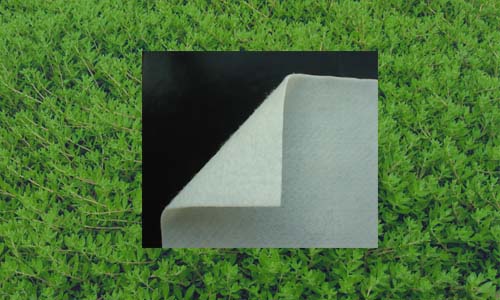 8m寬幅編織布土工布土工膜供應