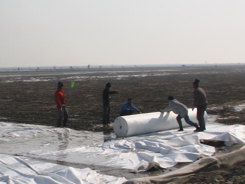 供應尾礦處理工程采用土工布