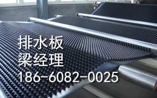 塑料透水板歡迎您