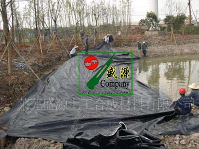 供應PE防滲膜土工布土工膜土工席墊