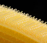 供應魔術貼.粘扣帶