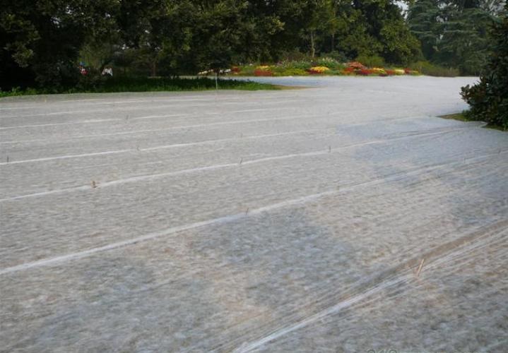 專業生產農用無紡布