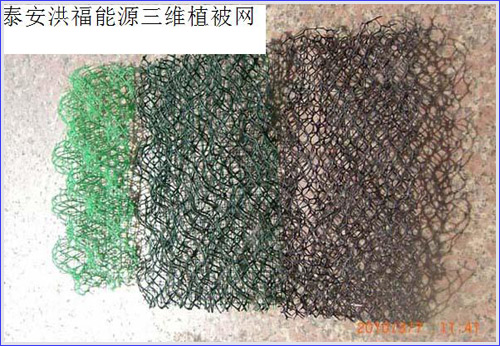 ÈýÎ¬Ö²±»Íø