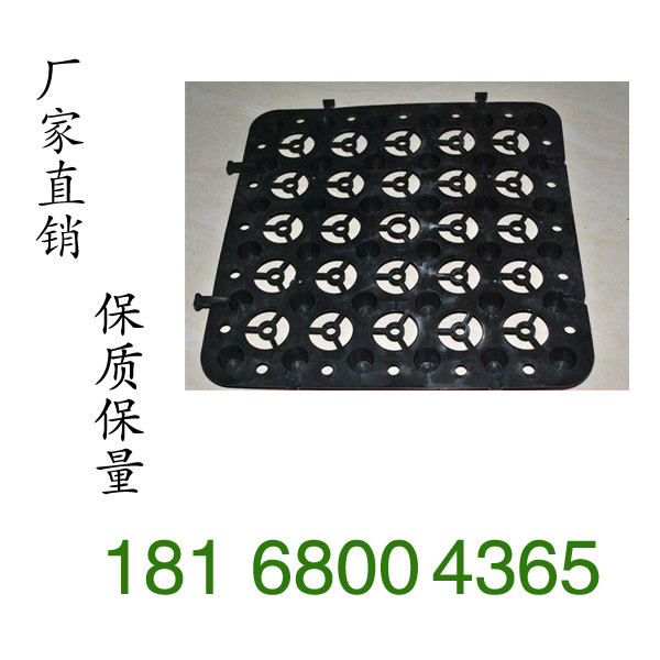 江蘇蓄排水板規格