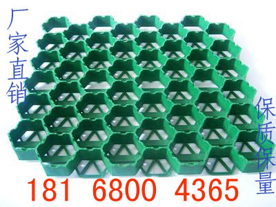 江蘇植草格直銷批發價