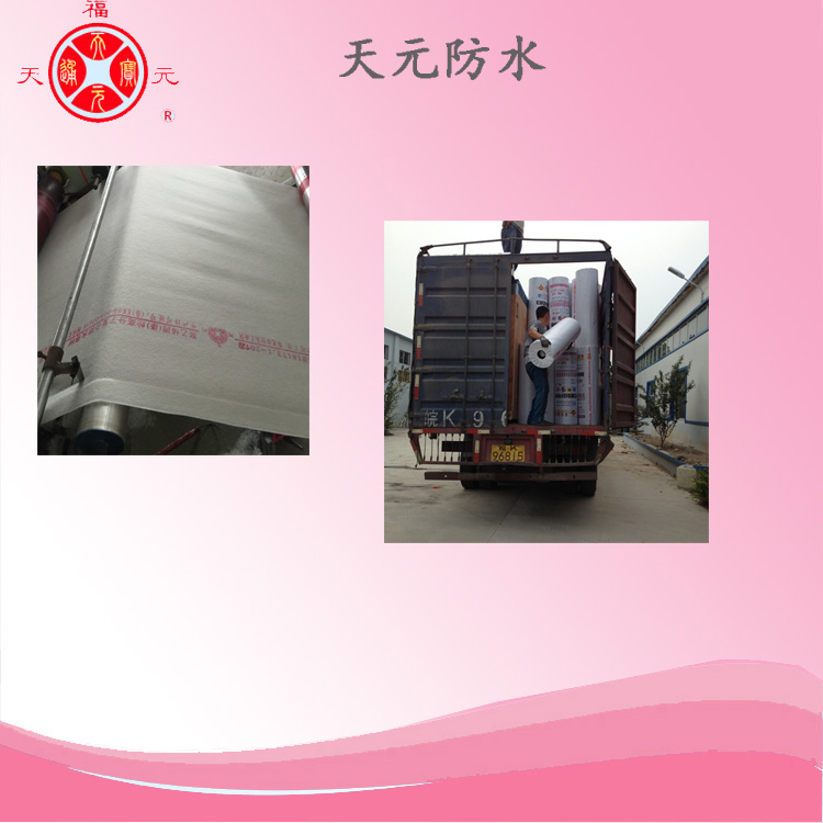 聚乙烯滌綸防水卷材