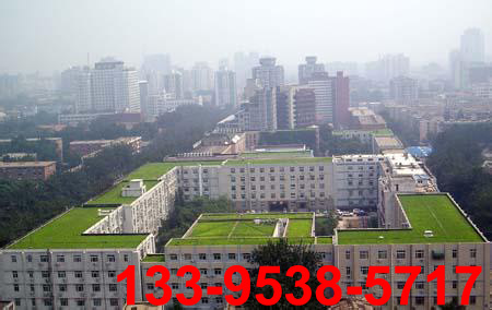 排水板www.tgmo.com.cn