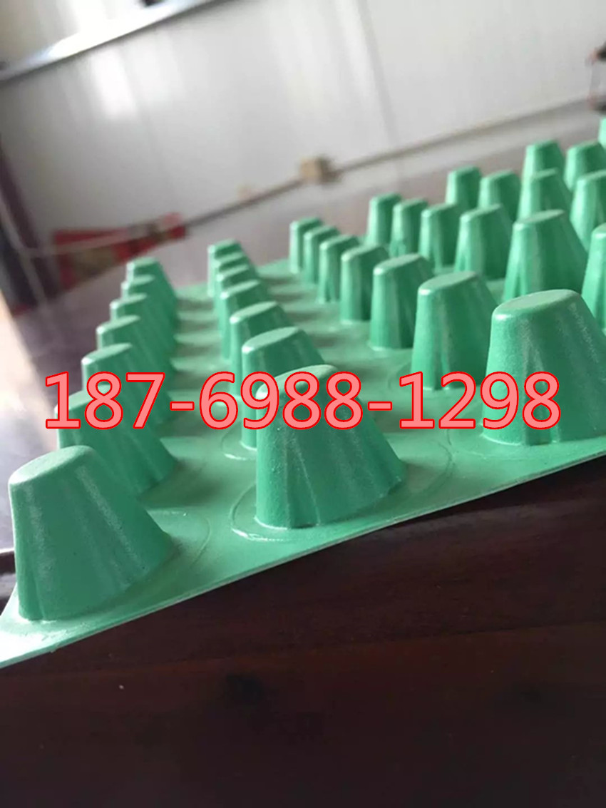 德州新聞播報：地庫頂防穿刺阻根層=30高抗酸堿排水板