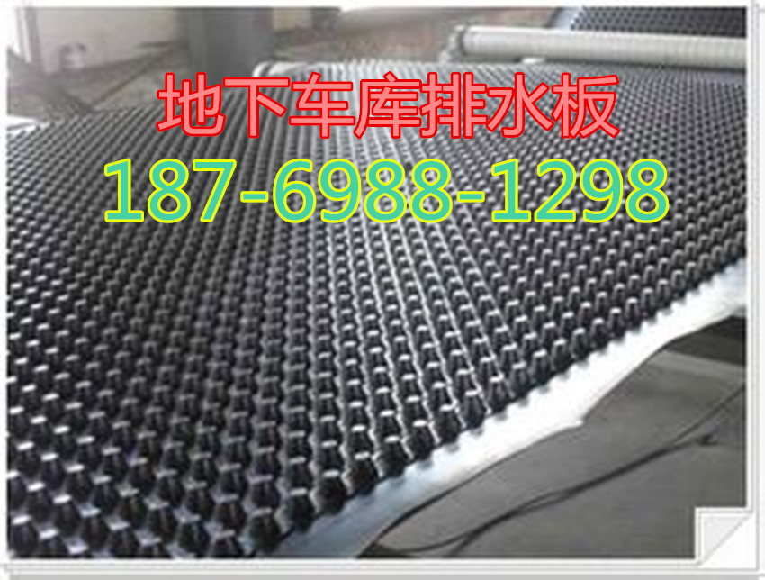 泰州新聞》2公分屋頂花園排水板#塑料凸片瀝水板