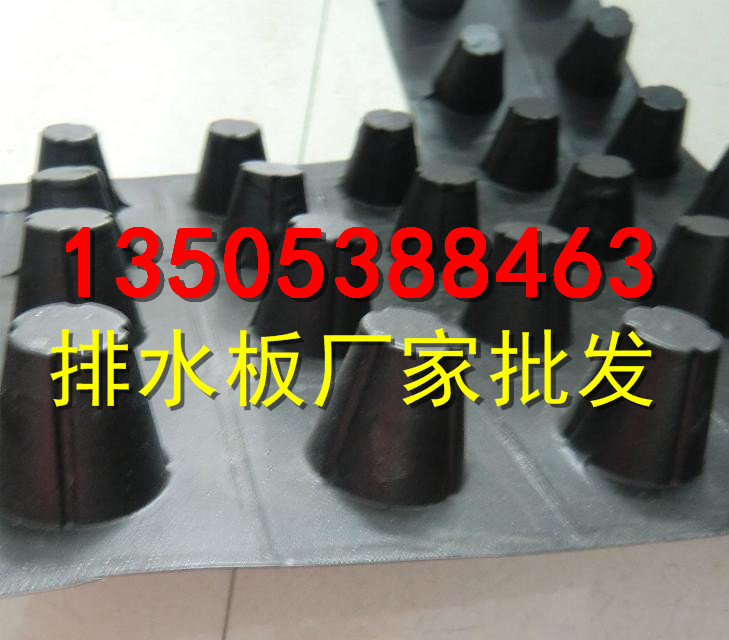 黃山H20高塑料凹凸濾水板//防穿刺排水板