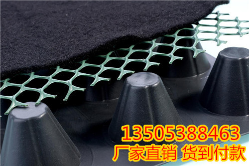 玉溪2公分排水板