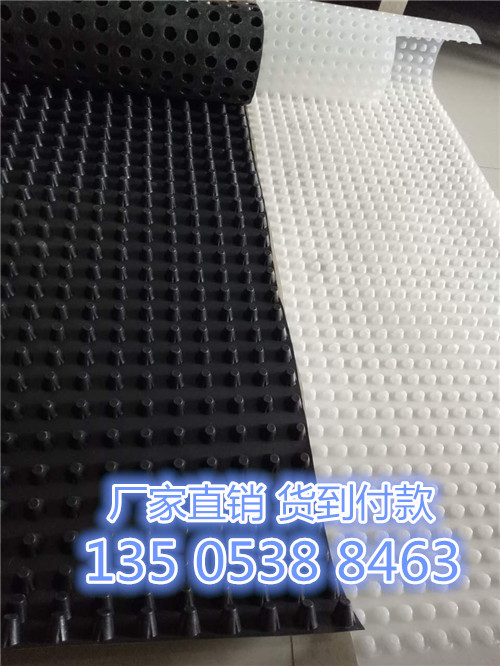 車庫頂板種植排水板/阻根板廠家