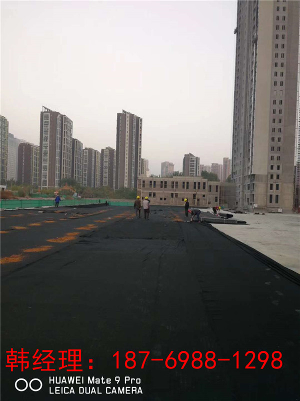 常州新聞40厚貯水排水板=種植車庫蜂窩板