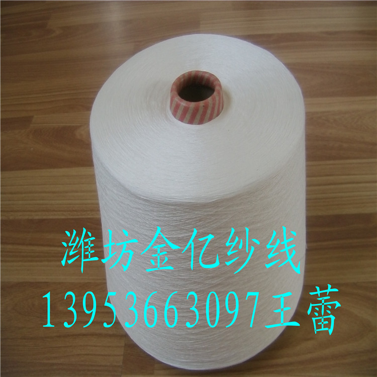 白竹炭紗線（滌綸載體）40支現貨