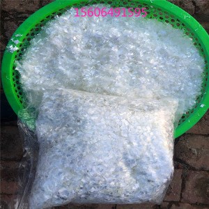 ¾Û±ûÏ©ÏËÎ¬