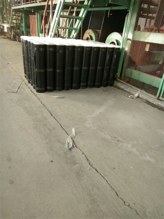 泗水新型的屋麵防水材料SBS防水卷材